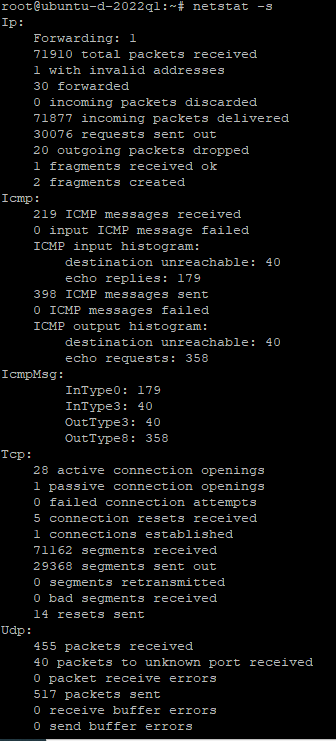 Example of netstat -s on Ubuntu