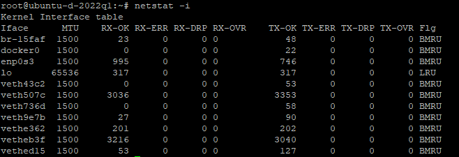 Example of netstat -i on Ubuntu