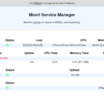 Monit Dashboard on My Ubuntu 22.04