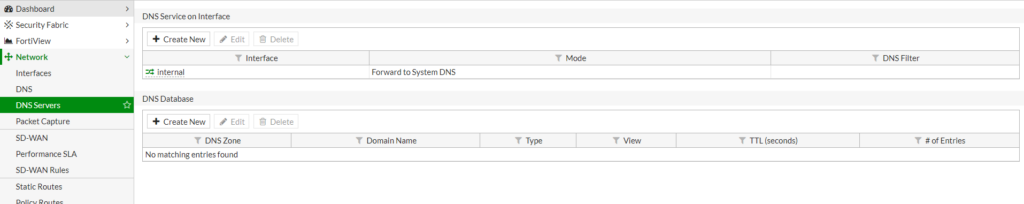 FortiGate DNS Server Configuration