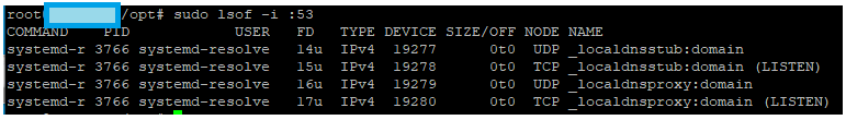 Chek DNS Activity with the command sudo lsof -i :53